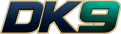 dk 9 logo